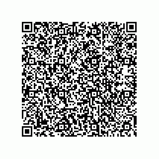 vCard 78453903379