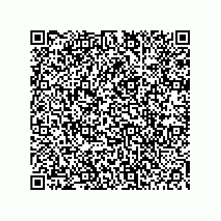 vCard 78453903393