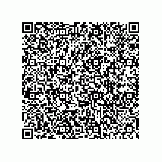 vCard 78453903399