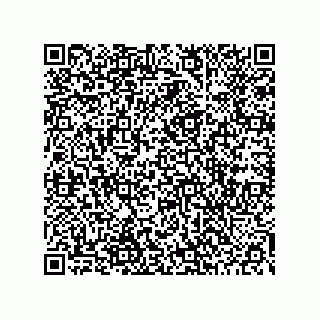 vCard 78453903411