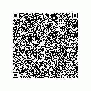 vCard 78453903413