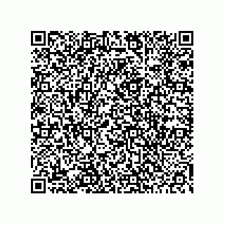vCard 78453903488