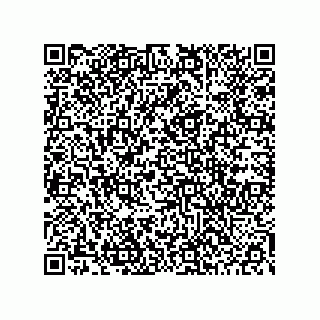 vCard 78453903509