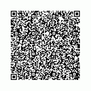 vCard 78454540001