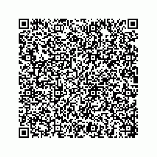 vCard 78454540002