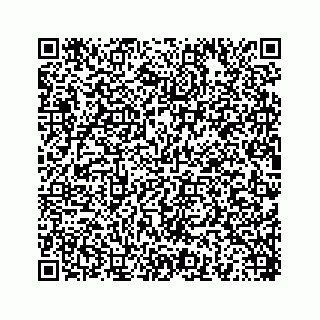 vCard 78454540010