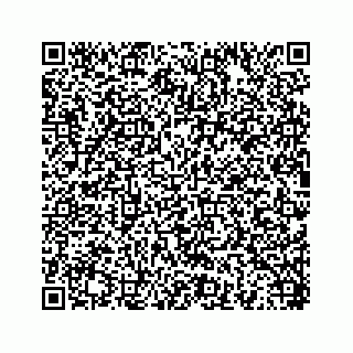 vCard 78454540011