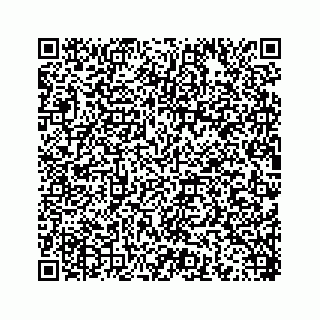 vCard 78454540013