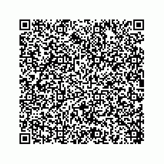 vCard 78454540019
