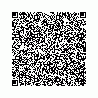 vCard 78454540026