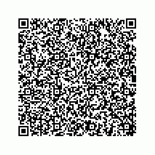 vCard 78454540027