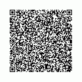 vCard 78454540028