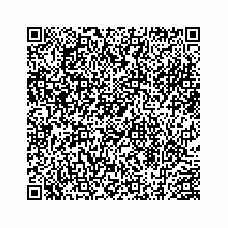 vCard 78454540029