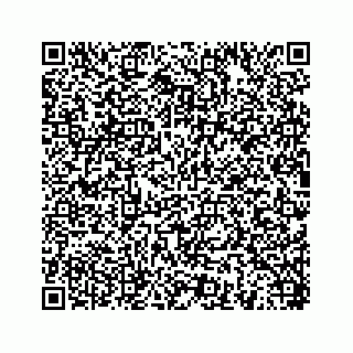 vCard 78454540031