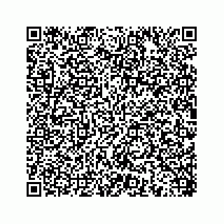 vCard 78454540033