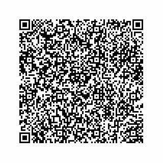 vCard 78454540035