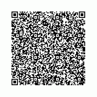 vCard 78454540038