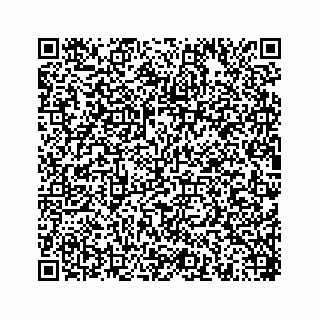 vCard 78454540041