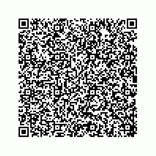 vCard 78454540042