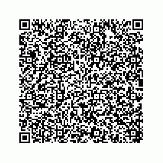vCard 78454540049