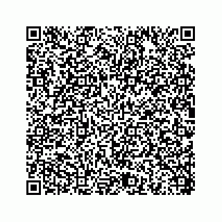 vCard 78454540051