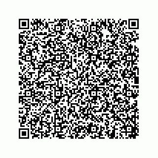 vCard 78454540062
