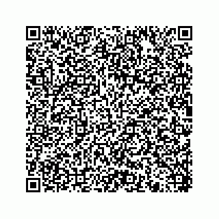 vCard 78454540063