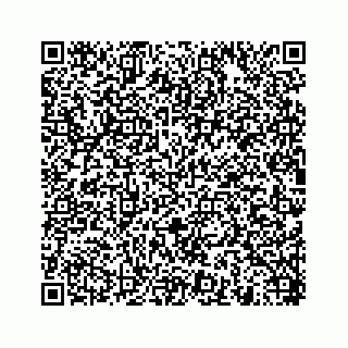 vCard 78454540065