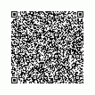 vCard 78454540073