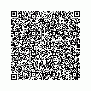 vCard 78454540077