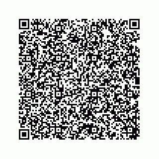 vCard 78454540080