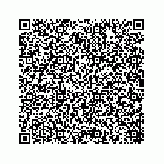 vCard 78454540081
