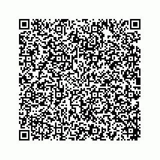 vCard 78454540095