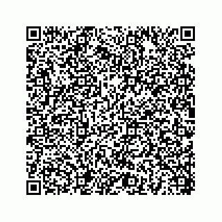 vCard 78454540099
