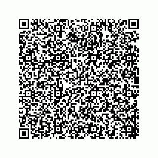 vCard 78454540100