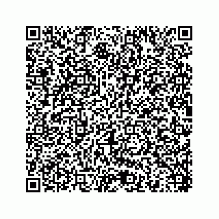 vCard 78454540104