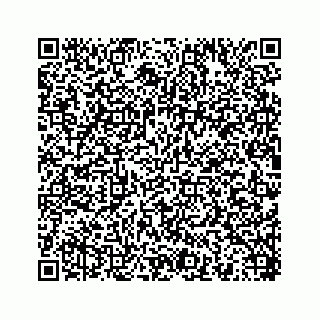 vCard 78454540109
