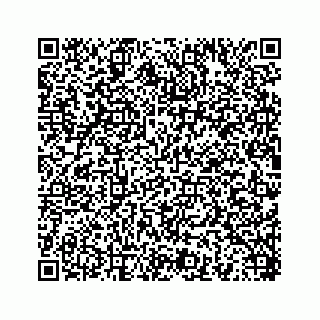 vCard 78454540111