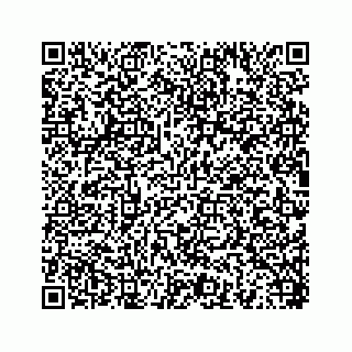 vCard 78454540113