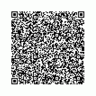 vCard 78454540119