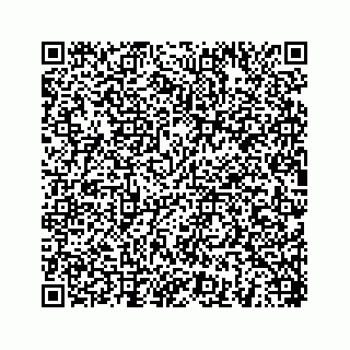 vCard 78454540131