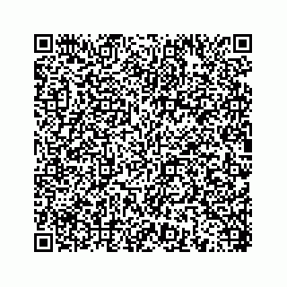 vCard 78454540133