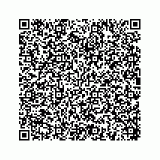 vCard 78454540136