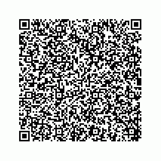 vCard 78454540137