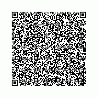 vCard 78454540173