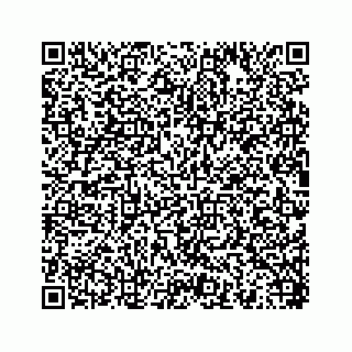 vCard 78454540208