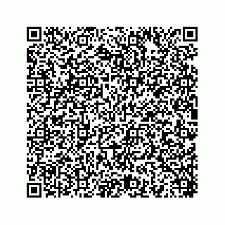 vCard 78454540210