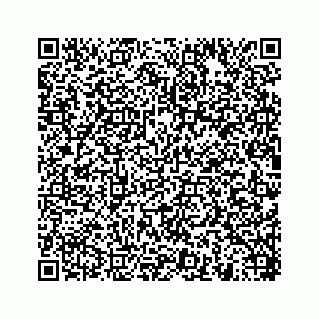 vCard 78454540263