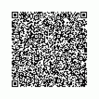 vCard 78454540281
