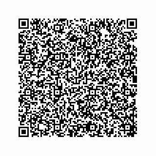 vCard 78454540288